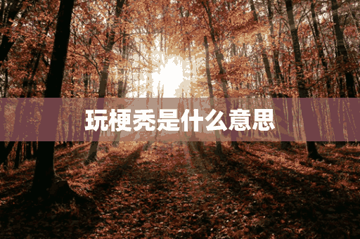 玩梗秃是什么意思(玩梗头像)